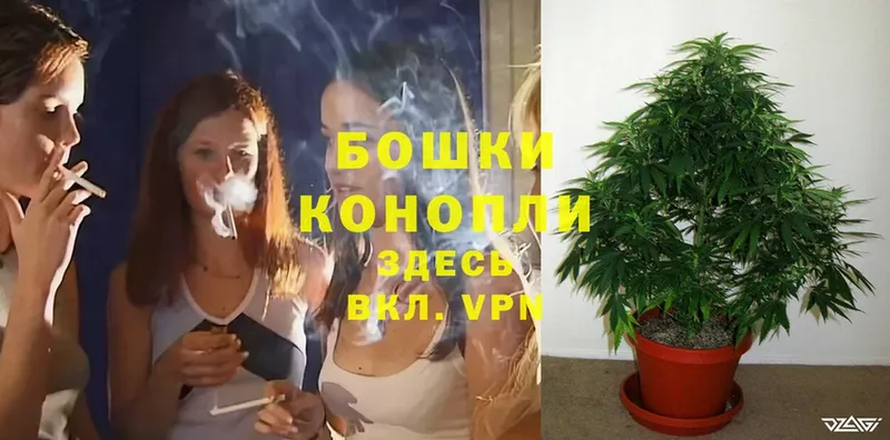 OMG зеркало  Тюмень  Каннабис OG Kush 